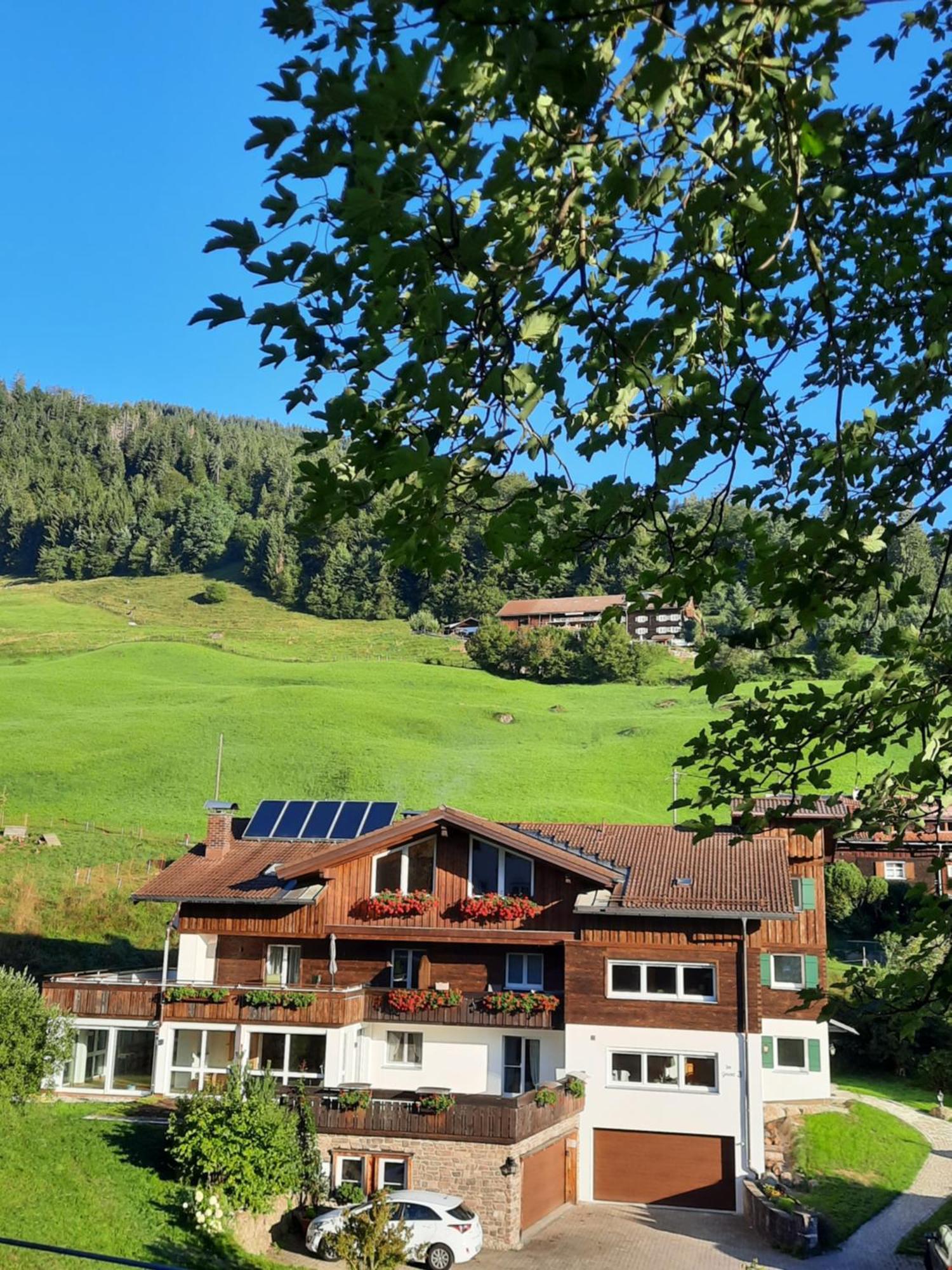 Ferienwohnungen Im Ried Blaichach Dış mekan fotoğraf